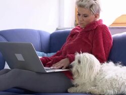HD: Woman Using A Laptop On Sofa Stock Footage