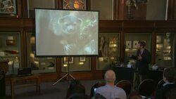 Smithsonian announces discovery of previously unknown mammal News Clip