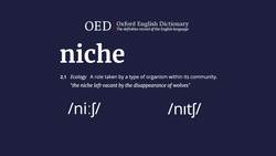 FAQs From Our First Year Instructional Video