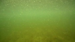 Turbid water Stock Footage