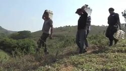 CLEAN : Challenge in getting supplies to remote Brazil mudslide areas News Clip