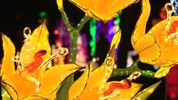 Magic lantern show celebrates Year of the Rooster News Clip