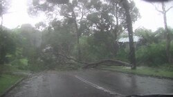 CLEAN : Wild weather smashes New South Wales for third day News Clip