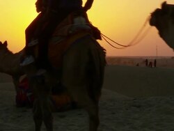  MS Sun setting at Tar dessert with camel crossing / Sam Sand Dunes, Rajasthan, India Stock Footage