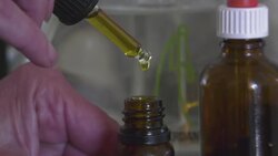 Couple secure permissions to grow medical marjiuana at home News Clip