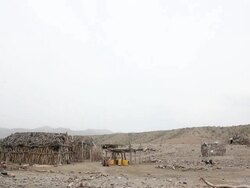 Desert landscape with wooden huts and goat Stock Footage