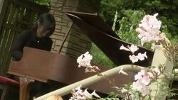 Piano flower power in San Francisco park   News Clip