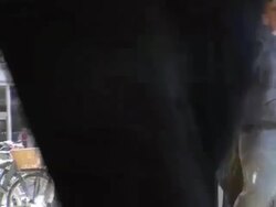 Charity Fundraisers Face Street Bans News Clip