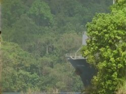 Ship enters frame from behind trees, Panama Canal, Panama. Stock Footage
