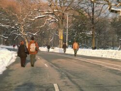 Joggers and pedestrians pass on road in Prospect Park Stock Footage