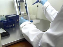 Worker in Food Control Laboratory News Clip