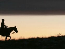 WS Cowboy riding horse on ridge silhouetted against the sunset / Shell, Wyoming, United States Stock Footage