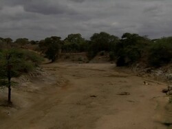 Dried-up river Stock Footage