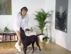 Woman dacing with dog Stock Footage