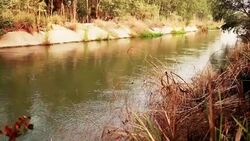 Flowing River during sunset Stock Footage