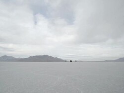 Slow motion of horses running. Stock Footage