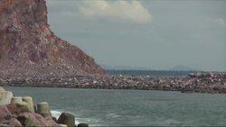 Fast moving Tropical Storm Sonia approaches Mexican coast Instructional Video