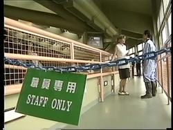 HONG KONG: PANDAS SETTLE INTO THEIR NEW OCEAN PARK HOME News Clip