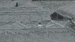 Mt Merapi spews ash, passengers stranded at airports News Clip