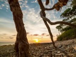 Sunset timelapse Stock Footage