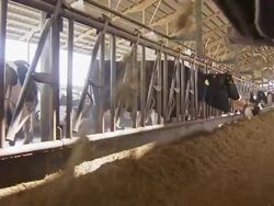 Shot from underneath the feed dispenser as it throws out the cattle feed. Stock Footage