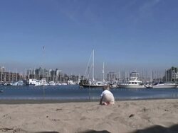 Human Development: Crawling, Security of Family Stock Footage