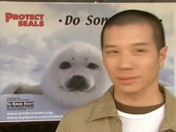 Celebrity Save The Seal Day: Press Conference Hosted by Celebrities Against The Seal Hunt Stock Footage