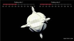 Michael Hansmeyer: Building unimaginable shapes Instructional Video