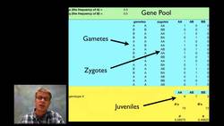 Population Modeling Instructional Video