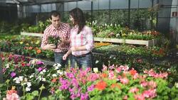 Florists owner arranging flowers Stock Footage