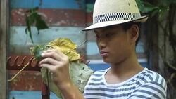 Farmer Boy Stock Footage