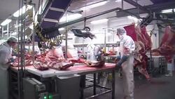 VOICED : En reunion por carne de caballo News Clip