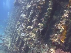 Shipwreck - Carnatic Stock Footage