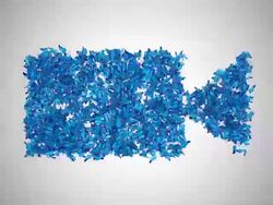 Movie Film Camera Symbol made by Blue Butterflies - Alpha Stock Footage