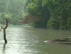 Rain in the river Stock Footage
