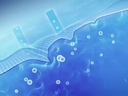 Dermatology skin demo Stock Footage