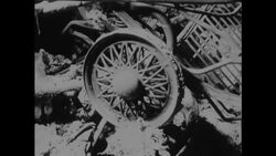 CAN437 BRUSH FIRES KILL SHEEP SWALLOW LANDSCAPE Instructional Video