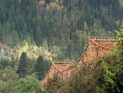 An orange bridge that gets lost through the trees Stock Footage