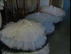 Pioneering technique confuses clothes moths' breeding Instructional Video