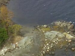 WS ARIEAL View of Group of sea birds at coastline / Maine, United States Stock Footage