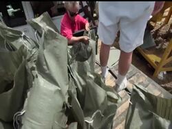Wardens keep watch as inmate trustees from St. Martin Parish Correctional Center make sand bags to protect residents against flooding in Stephensville, Louisiana. News Clip