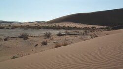Sand ripples across the Dunes of Sossuslvei, South Africa. Stock Footage