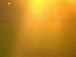 Flies flying in the sunlight Stock Footage