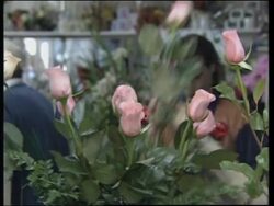 USA: WASHINGTON: VALENTINE'S DAY - AMERICAN STYLE Instructional Video