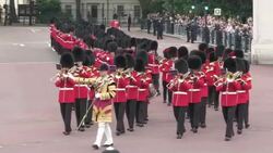 Grenadier Guards Band  at Buckingham Palace Stock Footage