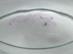 Potassium metal reacting with water. Stock Footage