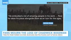 Fans Mourn The Loss Of 'Black Panther' Icon Chadwick Boseman News Clip