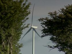 Aeolian between trees  Stock Footage