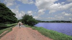 Travel Stock Footage