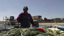 VOICED : Pinguinos en peligro News Clip